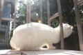 2011年5月26日 (四) 11:30的版本的缩略图