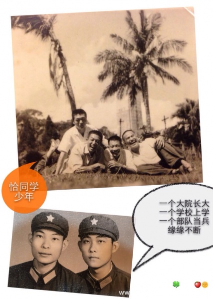 文件:Linxiaodi-07.jpg