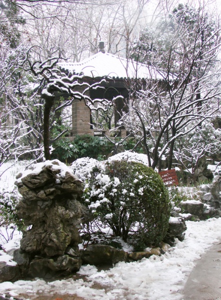 文件:11c7598d0eeg215.jpg