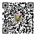 2019年7月20日 (六) 05:12的版本的缩略图