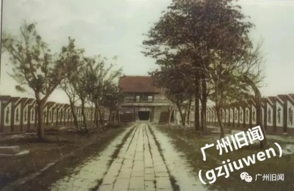 我的东堂11.jpg