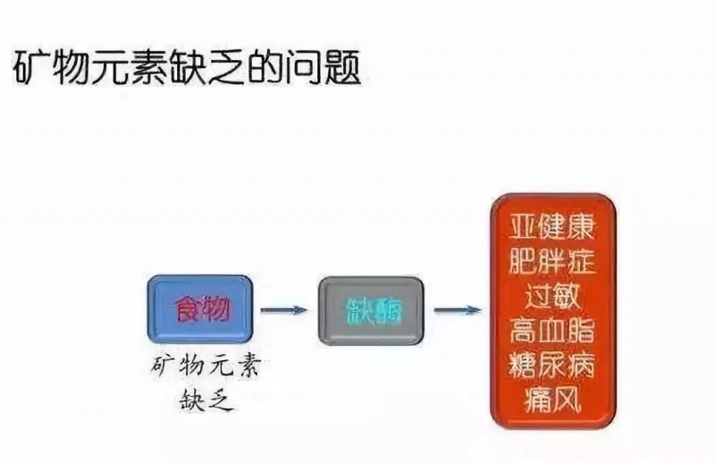 文件:Jp116.jpeg