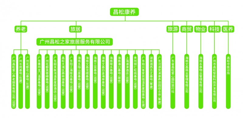 文件:昌松康养产业布局.jpg