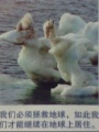 2011年10月29日 (六) 23:35的版本的缩略图