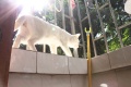 2011年5月26日 (四) 11:24的版本的缩略图