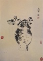 2019年3月9日 (六) 03:58的版本的缩略图
