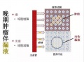 2019年3月30日 (六) 03:19的版本的缩略图