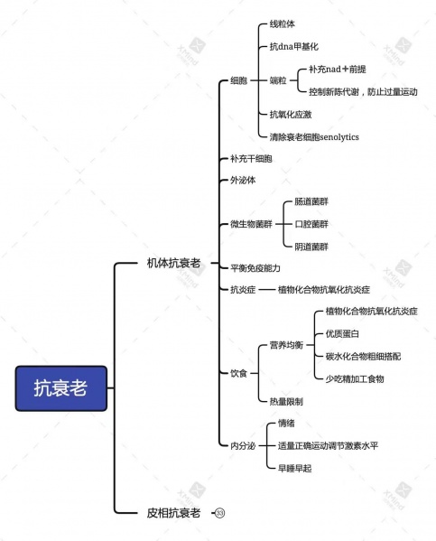 文件:抗衰老1.jpg
