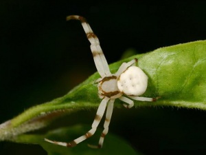 20070330 038.jpg