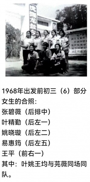 文件:老三届初三同学的照片（2）-1.jpg