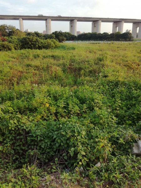 文件:Xfgy-gz-dglc09.jpg