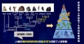 2022年6月4日 (六) 01:10的版本的缩略图