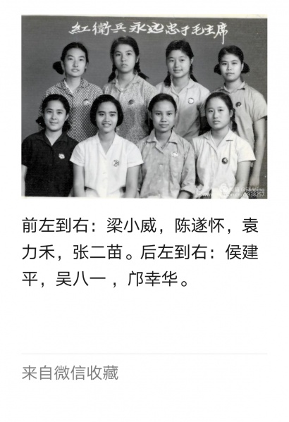 文件:Mmexport1588861822230.jpg