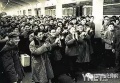 2022年1月25日 (二) 05:45的版本的缩略图