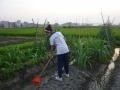 2012年6月24日 (日) 13:08的版本的缩略图