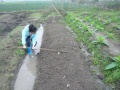 2012年3月14日 (三) 15:22的版本的缩略图