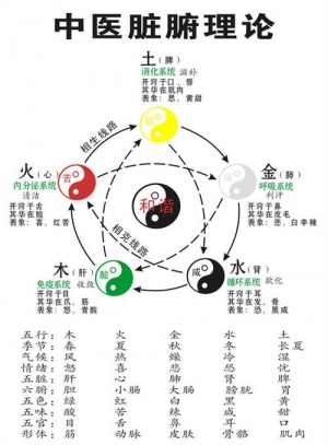 五行与五脏3.jpg