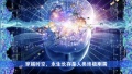 2021年11月19日 (五) 09:08的版本的缩略图