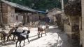 2021年7月8日 (四) 14:38的版本的缩略图