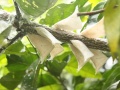 2012年6月17日 (日) 13:23的版本的缩略图