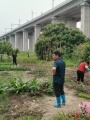 2022年4月19日 (二) 14:25的版本的缩略图