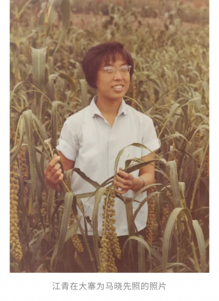 文件:IMG 20200519 174550.png