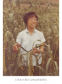 2020年5月19日 (二) 11:09的版本的缩略图