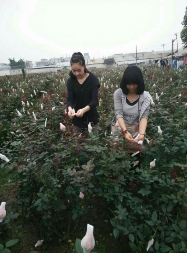 2023年小区学生暑假2.jpg