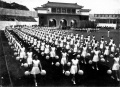 2022年8月13日 (六) 07:57的版本的缩略图