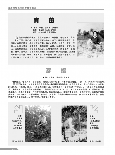 文件:黄岭农场青春影踪内页20.png