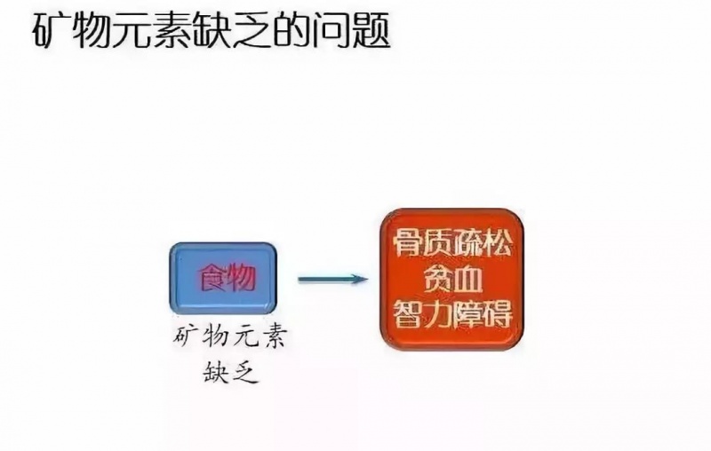 文件:Jp115.jpeg